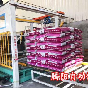 選擇騰陽高位碼垛機，選擇品質(zhì)