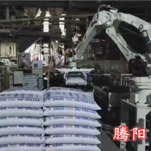 不用人工來(lái)回搬運(yùn)伸縮式輸送機(jī)和碼垛機(jī)器人完成卸車(chē)碼垛省去多個(gè)人工