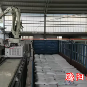 全自動裝車機械手為生產(chǎn)加工型企業(yè)提供志能化裝車解決方案