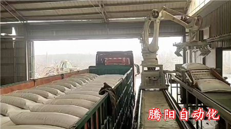 騰陽全自動裝車機是企業(yè)增加效率的理想工具