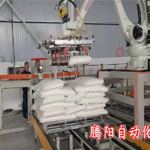 雙爪面粉碼垛機(jī)器人工作效率高減輕勞動強(qiáng)度